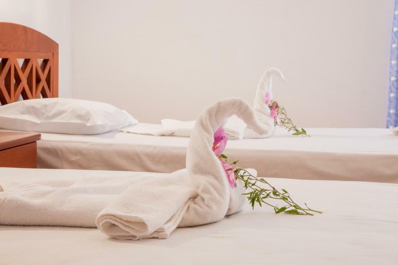 Agia Marina Ekavi Apartments מראה חיצוני תמונה